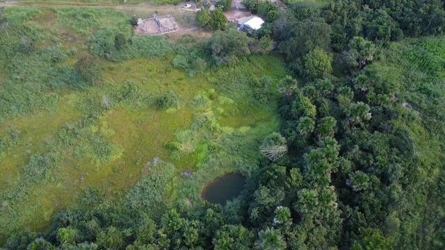 Imagem Fazenda 38 ha - Agua Boa