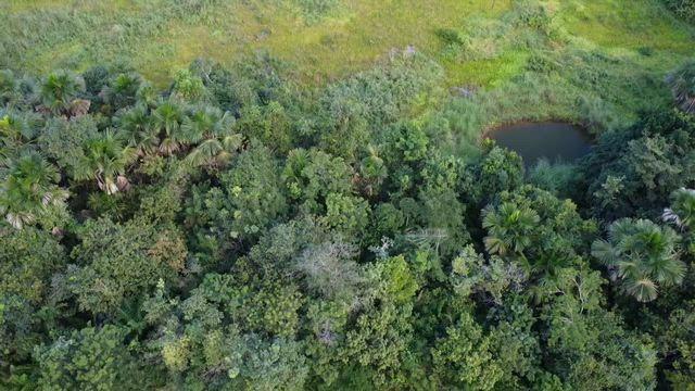 Imagem Fazenda 38 ha - Agua Boa