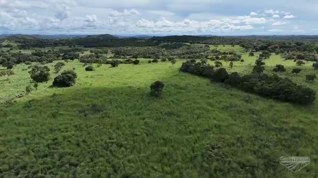 Imagem Fazenda com 171 Hectares em Nova Xavantina - MT