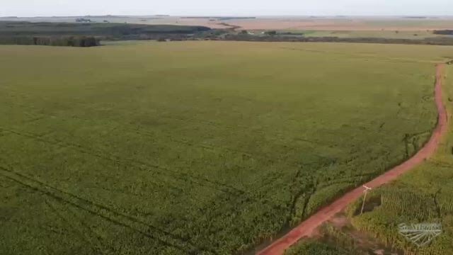 Imagem Fazenda em Dourados MS Dupla Aptidão