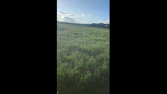 Imagem Fazenda para Agricultura e Irrigação em Uruaçu, GO