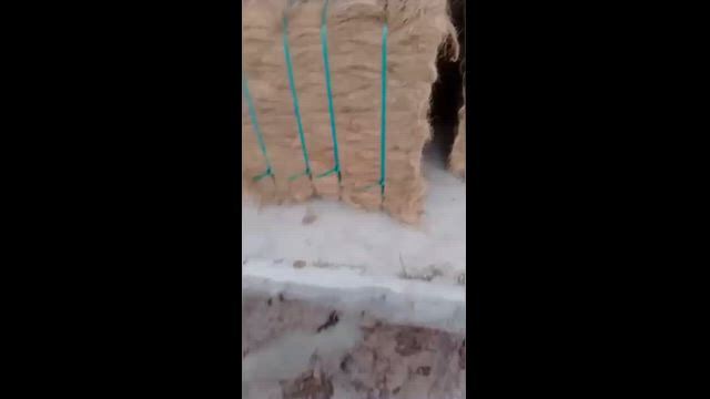 Imagem FIBRA DE COCO LONGA