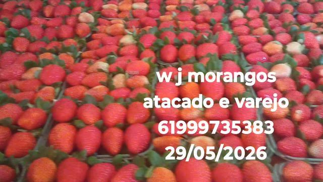 Imagem Morangos Selecionados