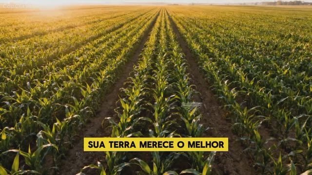 Imagem Pó de rocha