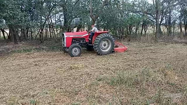 Imagem Trator massey Ferguson 250x