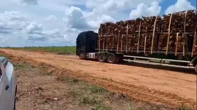 Imagem VENDA LENHA NATIVA PARA CALDEIRAS ,FRIGORÍFICOS , SILOS E DEMAIS