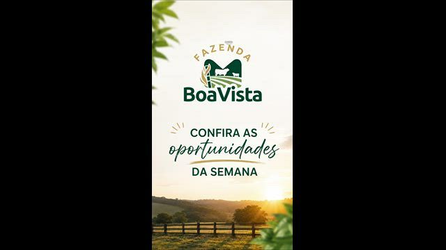 Imagem Bezerras Girolandas