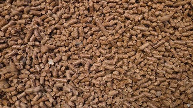 Imagem CASCA DE AMENDOIM PELETIZADA 13% PROTEINA