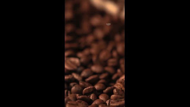 Imagem Dosadora semi automática para café torrado EXATTO.