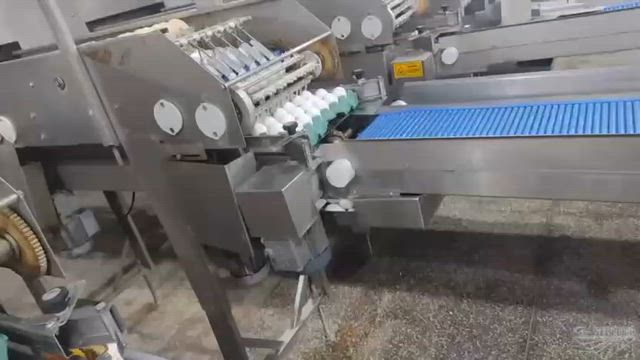 Imagem Embaladora de ovos  2.1 seminova Yamasa