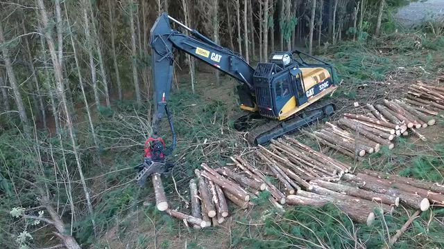 Imagem ESCAVADEIRA Caterpillar 320C