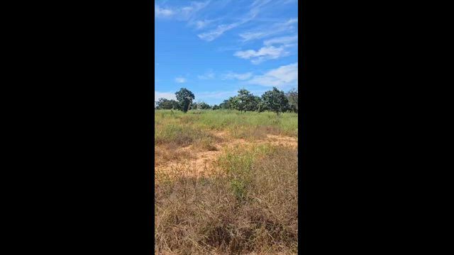 Imagem Fazenda com 114 Hectares em Santa Fé de Minas - MG