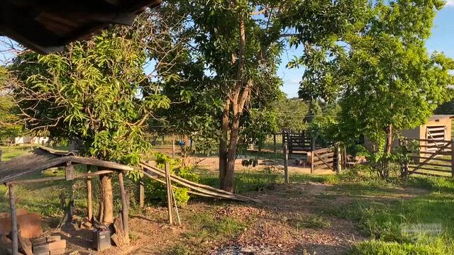 Imagem Fazenda para Pecuária de 13 Alqueires em Goiás Velho - GO