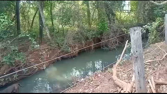 Imagem Fazenda para Pecuária de 200 Alqueires em Colinas do Sul - GO
