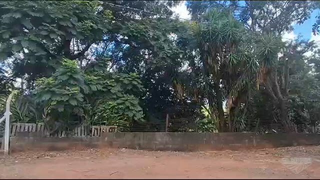 Imagem Lote Plano de 2.500 m² ao Lado da Rodoviária em Mogi Mirim/SP