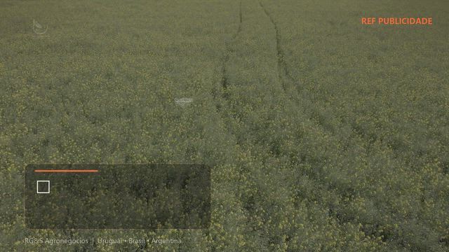 Imagem URUGUAI | Ativo Rural Leitero em Florida – Ref. 1126