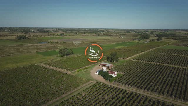 Imagem URUGUAI – Terra Estratégica para Seu Capital, com Sigilo Garantido pela RG&S