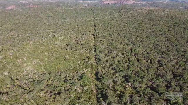 Imagem VENDA DE FAZENDA
