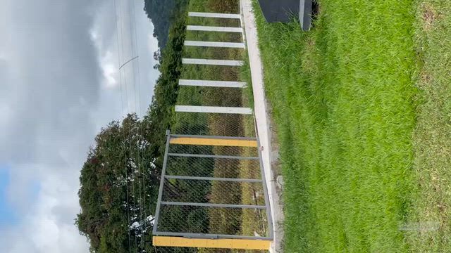 Imagem VENDE-SE LATICÍNIO COMPLETO – IMPERATRIZ/MA