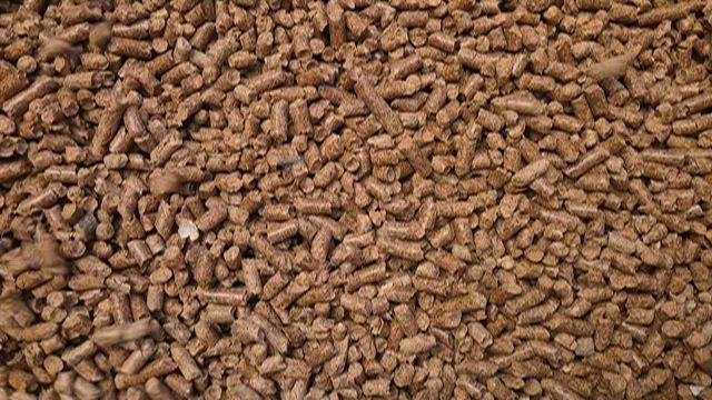 Imagem CASCA DE AMENDOIM PELETIZADA COM 13% PROTEINA