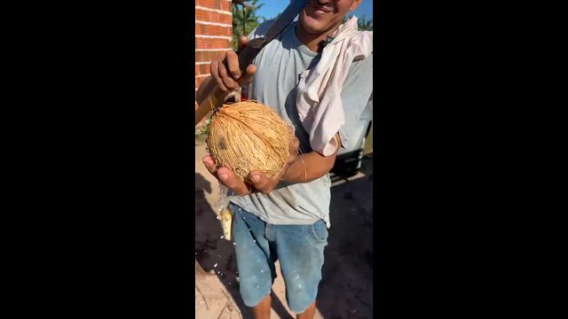 Imagem Coco Seco In Natura | Direto do Produtor para Atacado e Varejo