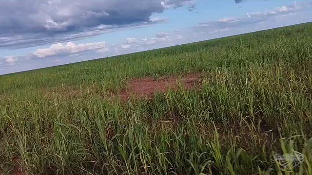 Imagem Fazenda 1.046 ha no MATOPIBA – Aptidão para Soja e Pecuária – Maranhão