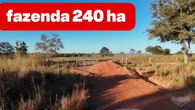 Imagem Fazenda de 240 Hectares Formada em Nova Xavantina - MT