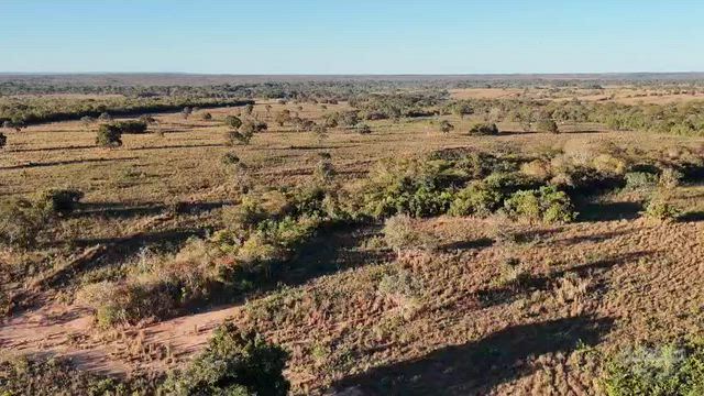 Imagem Fazenda de 240 Hectares Formada em Nova Xavantina - MT
