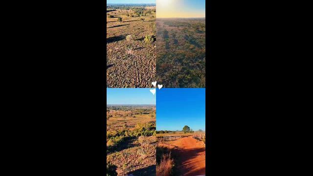 Imagem Fazenda de 240 Hectares Formada em Nova Xavantina - MT