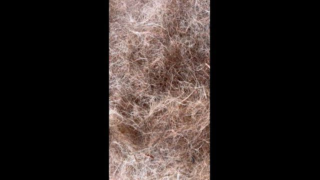 Imagem Fibra longa de coco