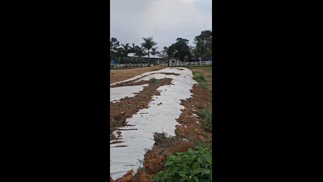 Imagem Silagem de Milho e Capim – Silo Fechado de 132 Toneladas