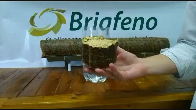 Imagem Briquete de Feno de Tifton para Cavalos