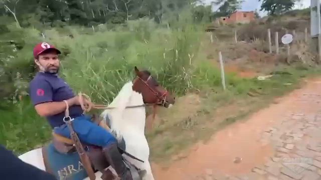 Imagem Cavalo Pampa