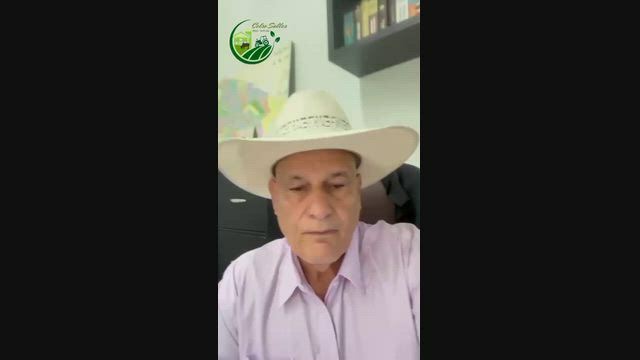 Imagem Fazenda para Agricultura com 532 Hectares em Canarana - MT