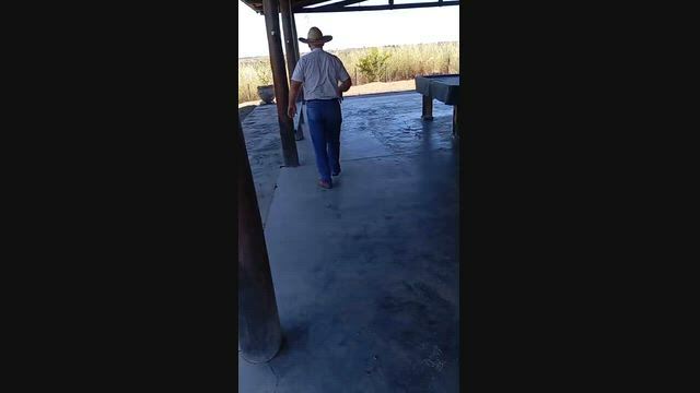 Imagem Fazenda para Pecuária com 175 Alqueires em Uruaçu - GO