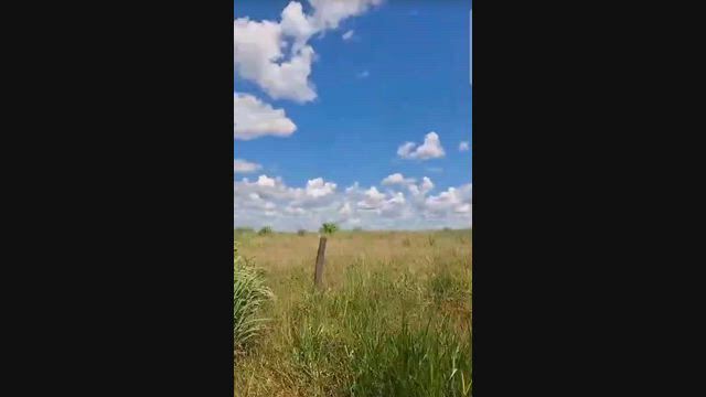 Imagem Fazenda para Pecuária com 2.190 ha em Jaíba - MG