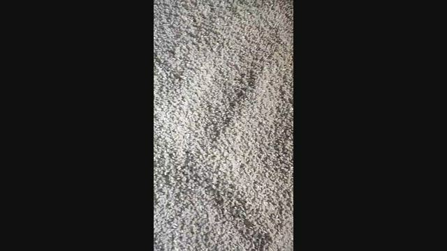 Imagem PEBD Canela Filtrado – 5 Toneladas Semanais | Araguari/MG