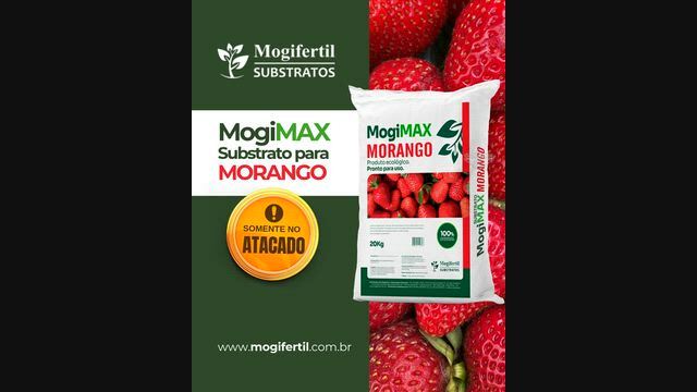 Imagem Substrato para mudas de Morango HF MIX - MogiMAX