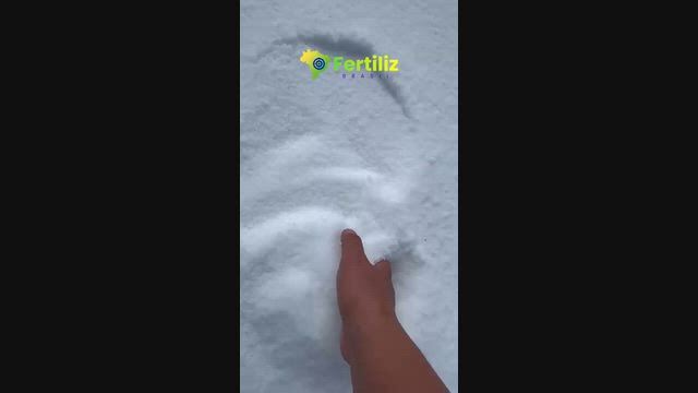 Imagem Ureia pecuaria 46% big bag branco com liner