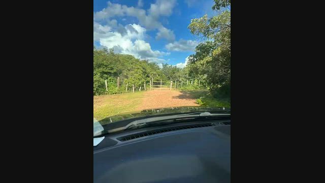 Imagem Fazenda 850 Hectares em Paes Landim – PI
