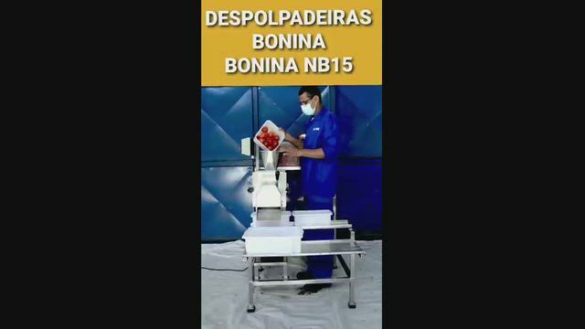 Imagem DESPOLPADEIRA BONINA NB15