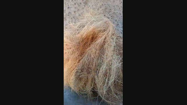 Imagem Fibra Longa de Coco Seco – Substrato Agrícola – Paraipaba CE