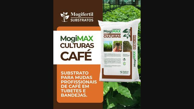 Imagem MogiMAX Substrato Profissional CAFÉ PLUS 6mm