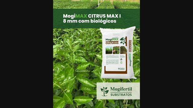 Imagem Substrato Mogimax Citrus Max I 8mm com Adubação