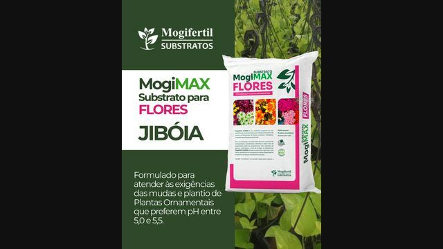 Imagem Substrato Mogimax Flores e Ornamental 6mm FOB Conchal