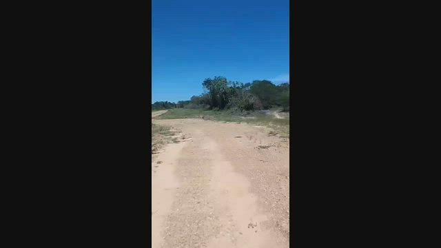 Imagem OPORTUNIDADE À VENDA | 6.117 HECTARES | OESTE DA BAHIA