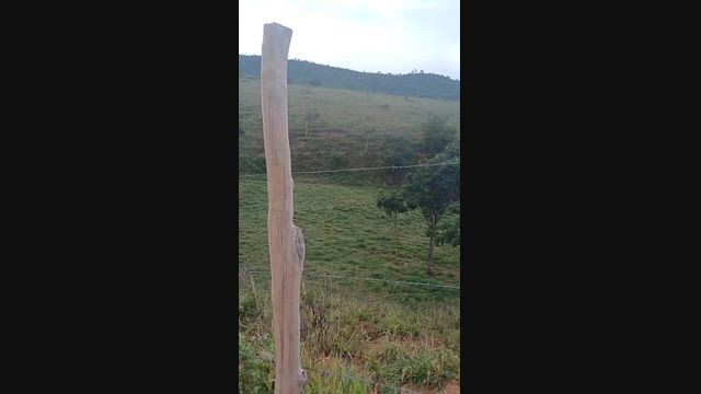 Imagem Propriedade Rural 44 Hectares à Venda – Jacinto/MG