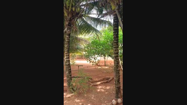 Imagem Propriedade Rural 44 Hectares à Venda – Jacinto/MG