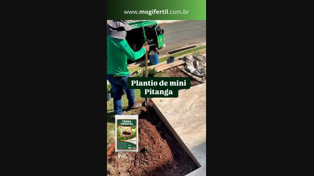 Imagem Terra Vegetal Mogifertil 100% natural