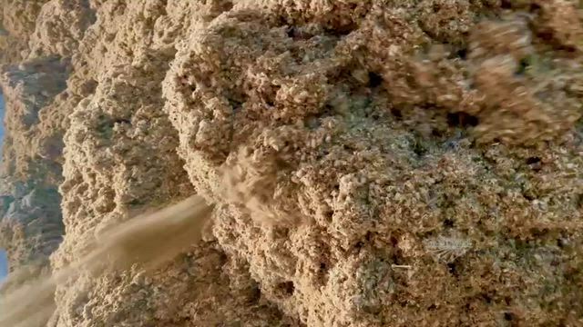 Imagem Torta de Algodão no MS - Granel